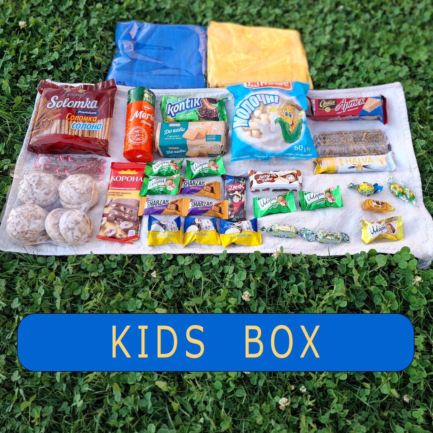 Ukrainian Kids Box (Українські сувеніри)
