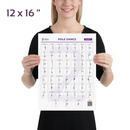 Pole Dance Elements Posters (Printed on the paper) (Плакат)