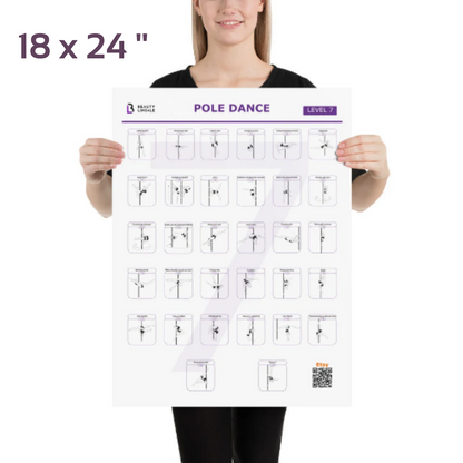 Pole Dance Elements Posters (Printed on the paper) (Плакат)