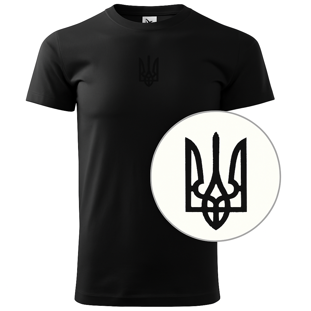 Ukraine Embroidered T-shirt from Ukrainian Shop (Футболка чол.)