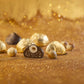 a group of sea shells sitting on top of a sandy beach